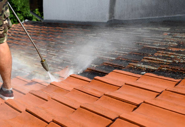 Best Power Washing Near Me  in Melbourne, AR