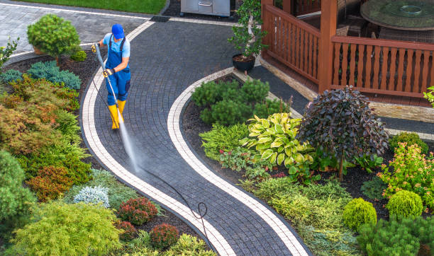 Best Pressure Washing Siding  in Melbourne, AR