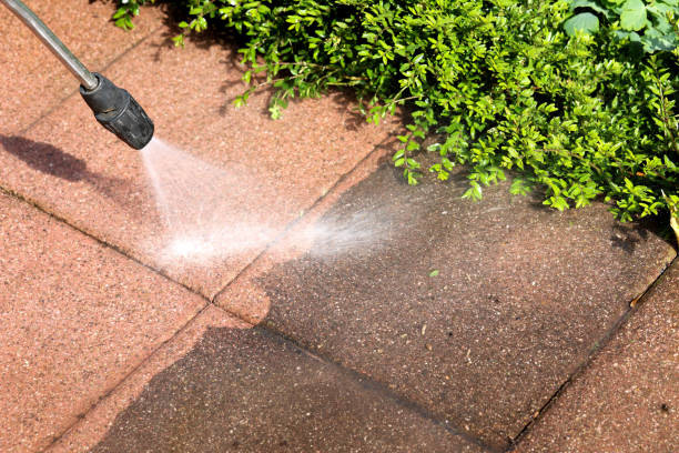 Best Pressure Washing Near Me  in Melbourne, AR